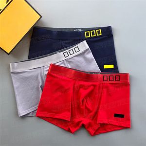 Classic Letter Underpants Mens Sexy Boxers Soft Breathable Casual Shorts Sexy Boxer Underwears With Box