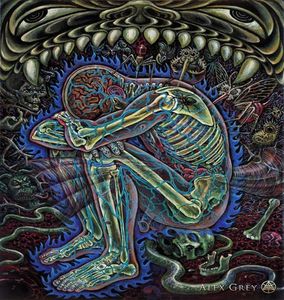 plakat 32x24quot 17x13quot trippy Alex Grey Wall Poster Postruk DREK DEKURT HOME PLAKCJA PLAKAL0111680906