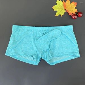 Cuecas homens manga longa boxers bulge bolsa elefante nariz roupa interior masculino melhorar erótico respirável aconchegante shorts rápido