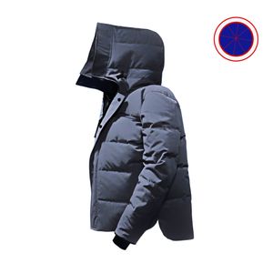 Designer Luxury Canadian Mens Down Parkas Jackets Winter Hoodied Outdoor Canada Jacket Couple Green Goose Coat Puffer Jacket 731