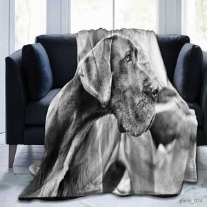 Одеяла: черное, белое, коричневое, отличное флисовое одеяло, легкое, теплое, фланелевое, мягкая, уютная кровать, диван, одеяла с рисунком собаки, всесезонные