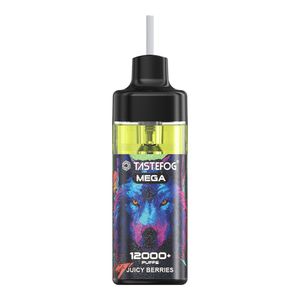 Nuovo arrivo Tastefog Mega 12K Puffs Vapes Kit pod sigaretta elettronica Vape ricaricabile e ricaricabile 2% 15ml 650mAh 12 sapori Torcia LED Controllo del flusso d'aria Nessuna perdita di olio