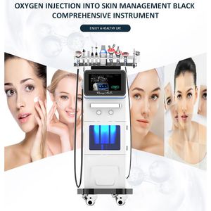 Factory Price Multifunctional 10 in 1 Facial Contouring Wrinkle Eliminate Skin Hydrating Tightening Dermabrasion Instrument with Ionic Mask