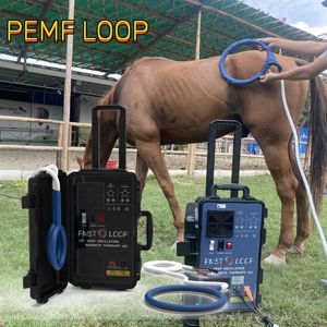 Dispositivo veterinário máquina de terapia magnawave pemf para estimular o sistema linfático do cavalo e melhorar o movimento