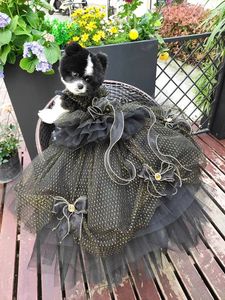 Dog Apparel Handmade Dog Clothes Pet Supplies Black Golden Tulle Trailing Dress Gem Bow 2 Options Evening Party Festival Apparel Fur Baby 231023