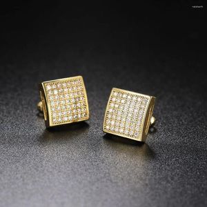 Stud Earrings Zircon Stone For Men Gold Color Punk Hip Hop Piercing Cartilage Earring Retro Fashion Women's Jewelry OHE047
