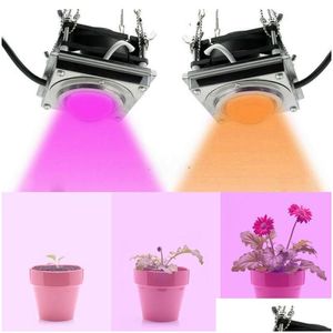 Grow Lights LED -ljus 2000W inomhusväxter COB FL Spektrum Växtens tillväxtlampan Tältlampor för hem Plantning Blommor Drop Leverans Li Dhnbn