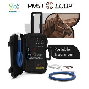 Equine Positive PROformance PMST LOOP Physio Magneto Magnawave PEMF Therapy para ajudar a aliviar a dor nos jarretes do cavalo.