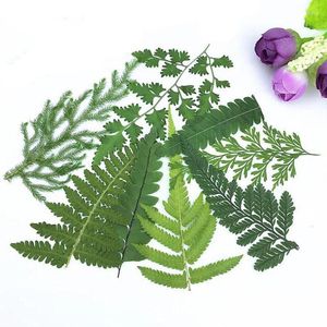 Decorative Flowers 60pcs 5-12cm Pressed Dried Green Leaf Leaves Plants Herbarium For Jewelry Bookmark Postcard Phone Case Invitation Card