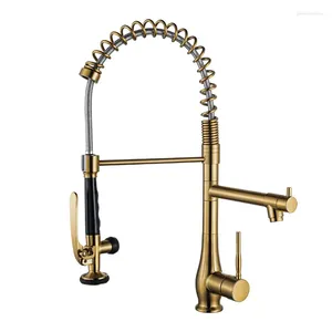 Kitchen Faucets Nickel Brushed Pull Faucet Rotating Dual Purpose Sink Cold And Accessories Mixer