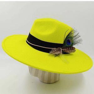 Basker 2023 Autumn/Winter 9,5 cm Water Drop Top Fashion Retro British Weaving Ribbon Feather Decoration Woolen Hat Outdoor Warmth WO