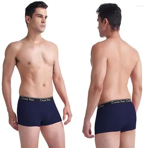 Underpants Fan Sweet Men's Boxer Ice Silk Letters Male Stretch Shorts Boys Underwear Breathable Lingerie Men Comfortable