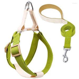 Coleiras de cachorro moda pet colete halter arnês peito trela conjunto colorido cinto de segurança coleira de gato pequeno médio acessórios suprimentos pano