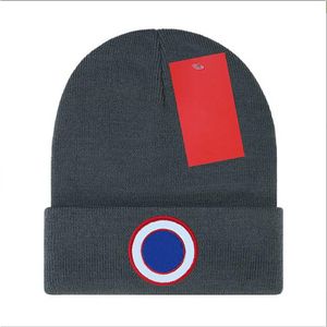 Autumn Winter Canada Knitted hat Luxury beanie cap winter Men's and Women's Unisexembroidered logo goose wool blended hats G-5