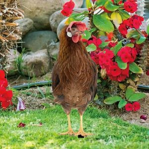 庭の装飾樹脂庭鶏肉couryside hen hen long culpture ornaments農地の芝生の装飾のための多面的な雄鶏の杭の飾り