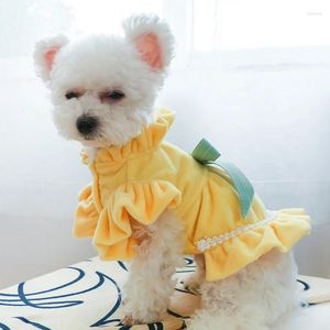 Hundkläder Pet Bow Dress Winter Velvet Warm Gul Lovely Pleated Spetskläder för små hundar
