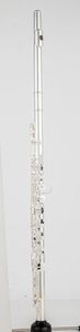 Pearl Flute PFA-201U Alto Flute G Tune 16 Zamknięte klucze do otworów Sliver Pleated Professional Instrument z obudową Bezpłatną wysyłkę