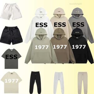 Erkek Hoodies Sweatshirts Essenghthirtes Essentialshirt kadınlar sürüm pamuk giymek toptan 2 adet% 10 indirim my93 my93 my93