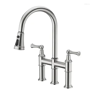 Kitchen Faucets Anti-Fingerprint Spot Brushed Nickel 2 Lever Double Bridge Faucet With Pull Down Spout