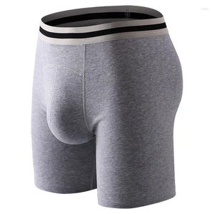 Underpants homens u convexo bolsa roupa interior juventude puro algodão boxer curto esporte inferior calça perna moagem anti curling cintura larga calcinha