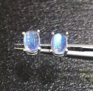 Kolczyki stadninowe Natural Blue Moonstone kolczyki 925 Srebro dla mężczyzn lub kobiet biżuteria 0,5ct 2pcs kamień szlachetny #x99206