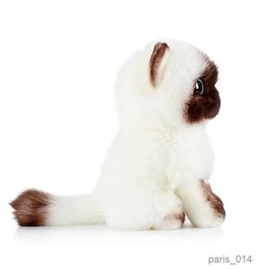 Plushowe zwierzęta 20/26 cm niebieskie oczy koty symulacja lalka urocza syjamska pluszowa zabawka Brązowa i biała twarz kotek do domu najlepszy prezent