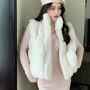 Kamizelki damskie koreański blok sztuczny futra kobiet kamizelki bez rękawów zimowy moda solidna stojak kołnierz kołnierz imitacja kamizelka kurtka płaszcza płaszcza