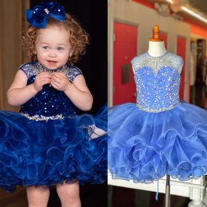 Cute Girl's Glitz Pageant Dress 2024 C208 Ruffles Layered Organza Skirt Crystal Cupcake Pageant Party Gowns Baby Girl Tiers Toddler Infant Lace Up Powder Blue Royal