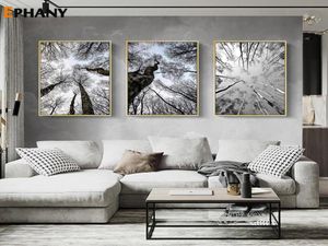 Black White Winter Forest Canvas Målning Bild natur landskap väggkonst skandinavisk affisch nordisk minimalistisk landskapsdekor PA5941684