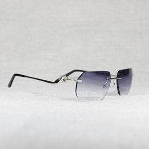 Sonnenbrillenrahmen, übergroß, randlos, für Herren, Leoparden-Stil, Linsenform, Damen-Schatten, klarer Galsses-Rahmen zum Lesen von Gafas im Freien, 120 231026