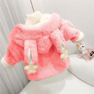 Imbottiture Cappotto Bambino Neonata Ragazzo Giacca in pile con cappuccio Capispalla invernale Bambini piccoli Felpa Bambini Felpe calde Vestiti 2023