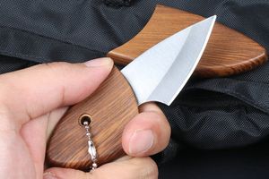 Liten EDC Pocket Knife D2 Satin Blade ABS Handle Keychain Knives utomhusutrustning för campingvandring