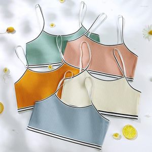 Bustiers espartilhos simples esportes topo para meninas listrado moda feminina roupa interior conforto algodão lingerie respirável tubo sutiãs