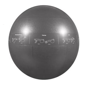 Yogabälle ProBall Stabilitätsball für Fitness-Balance-Übungen Silber 75 cm 231027
