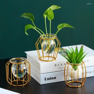 Vasen Mini Transparent Gold Glas Vase Blume Ästhetische Hydrokultur Nordic Metall Moderne Vazen Eine Fleur Luxus Wohnkultur WK50VA