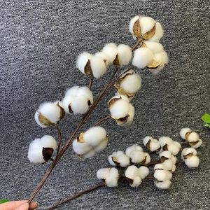 Decorative Flowers Real Dried Cotton White Flower Branch For Wedding Party Decoration Fake Home Decor Eucalyptus Leaves