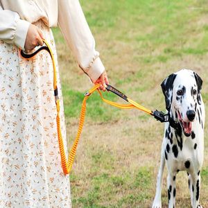 Collari per cani Multifunzione a prova di esplosione Animali domestici Corda da trazione Rana Fibbia Blocco di sicurezza per auto Striscia riflettente Cani che camminano di notte