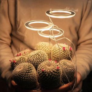 Grow Lights5V LED USB Angel Ring Plant Light for Jubulent Full Spectrum Phyto Lamp屋内花温室苗