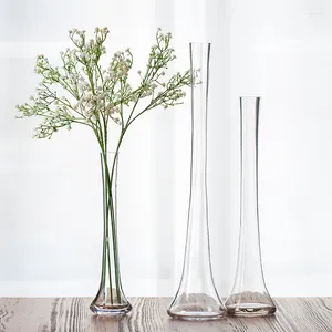 Vases GIEMZA Transparent Glass For Plant Bottle Flower Pot 1pc Nordic Creative Hydroponic Terrarium Arrangement Container Table