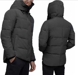 Designer-Daunenjacke, Winter, Outdoor, Freizeit, Sport, Pufferjacken, weiße Ente, Windschutz, Herren-Parkas, Jacken, Kragen, Mütze, warm halten, modische, klassische, winddichte Mäntel