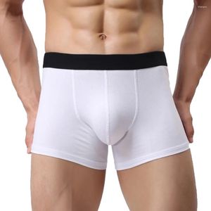 Underpants sexy maschile slip mutande bianche e traspi Bikini shorts liscio u marsupio convesso elastico piatto per ragazzi