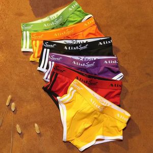 Underbyxor 6 stycken stora storlekar trosor av män underkläder bomull sexiga underkläder undies shorts trosor knickers homme s m l xl 2xl 3xl 231027