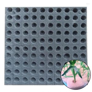 Planters 50LB 100Pcs Soilless Hydroponic Sponge Seed Growing Media Cubes Square Seedling Foam