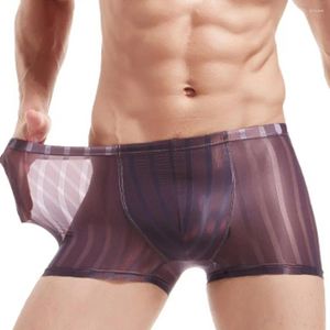 Underpants Sexy Men See-through Boxers Briefs Sheer Malha Bolsa Listrada Lingerie Masculino Bottom Shorts Confortável Elastic Sleepware
