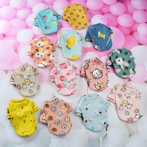 New cartoon printed pet clothing plush two legged sweater autumn and winter pullover pet dog clothing cat clothing