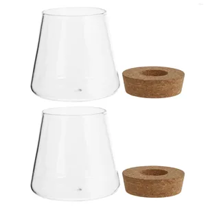 Vasos 2pcs vaso de vidro hidropônico Propagação de broto de flor Terrário de ar recipiente de mesa de mesa de mesa para vasos plantas