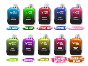 Vapanda VP Pro Puff 13000 12000 Züge 12K Bar E-Zigaretten Einweg-Vape-Pen-Box 650 mAh wiederaufladbare Batterien 25 ml vorgefüllte Wagen Lokales Lagerhaus Versand in 48 Stunden