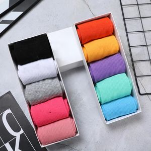 Sports Socks 2023 Macaron Candy Color Men's and Women's Samma gymnasium Låg Tube Elastic Basketball US Size5105 231030