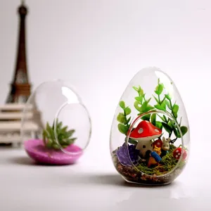 Flaschen, kleine Verpackung, verschiedene Größen, eiförmige Glas-Terrarium-Vase, Mikrolandschaft, Hydrokulturpflanzen, Hochzeitsdekoration