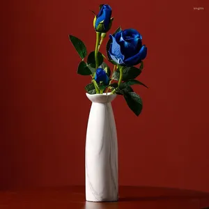 Vaser ins pentry bordsdekorationer och ornament blomma rose vasen vardagsrummet enkla moderna keramiska terrarium